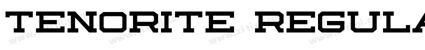 Tenorite Regular字体转换